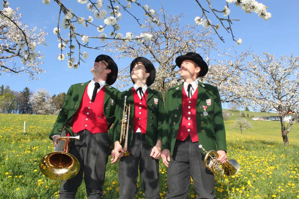 kirschbl__ten _36_.JPG