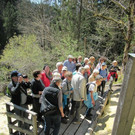 Am Quelltuff-Naturlehrpfad.jpg