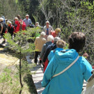 auf dem Naturlehrpfad.jpg
