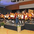 Konzert BM Ho__chst 2015 3.jpg