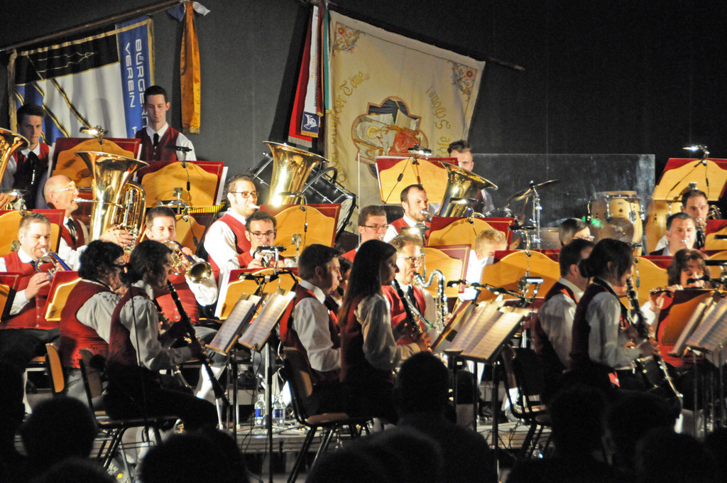 Konzert BM Ho__chst 2015 16.jpg