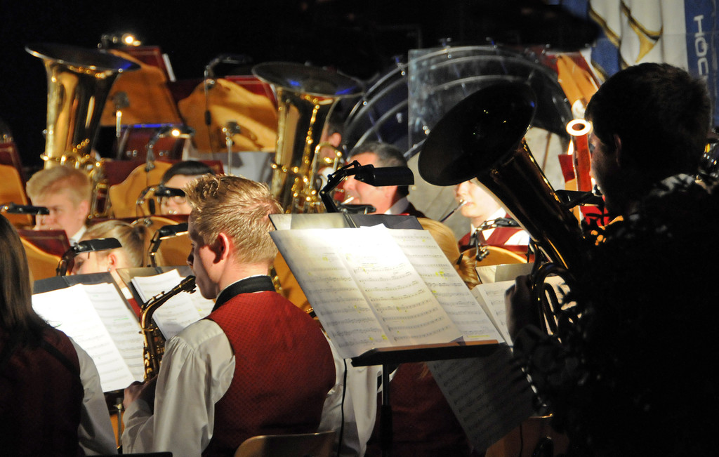 Konzert BM Ho__chst 2015 22.jpg