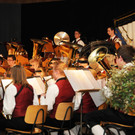 Konzert BM Ho__chst 2015 23.jpg
