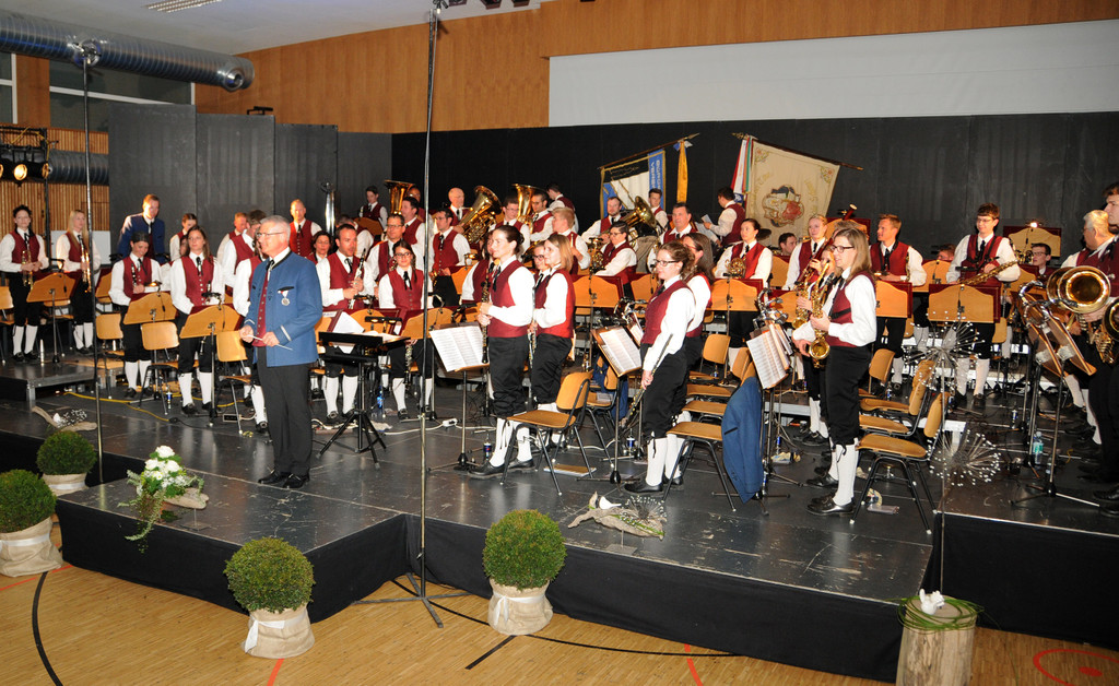 Konzert BM Ho__chst 2015 48.jpg