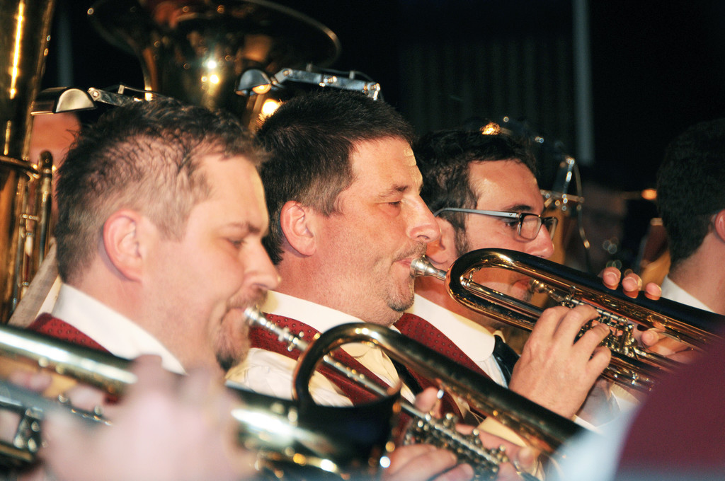 Konzert BM Ho__chst 2015 64.jpg