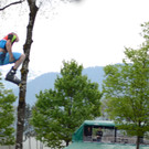 DSC_0515.JPG