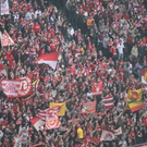 verein.jpg