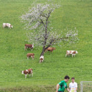 file6k84iqnurzlr2svpmxt.jpg