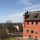 Schloss Hofen Umbau B 2015 _3_.JPG