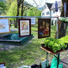 KOE_Fidelistest 2015 31.jpg