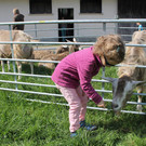 Ziegenausstellung 042.JPG