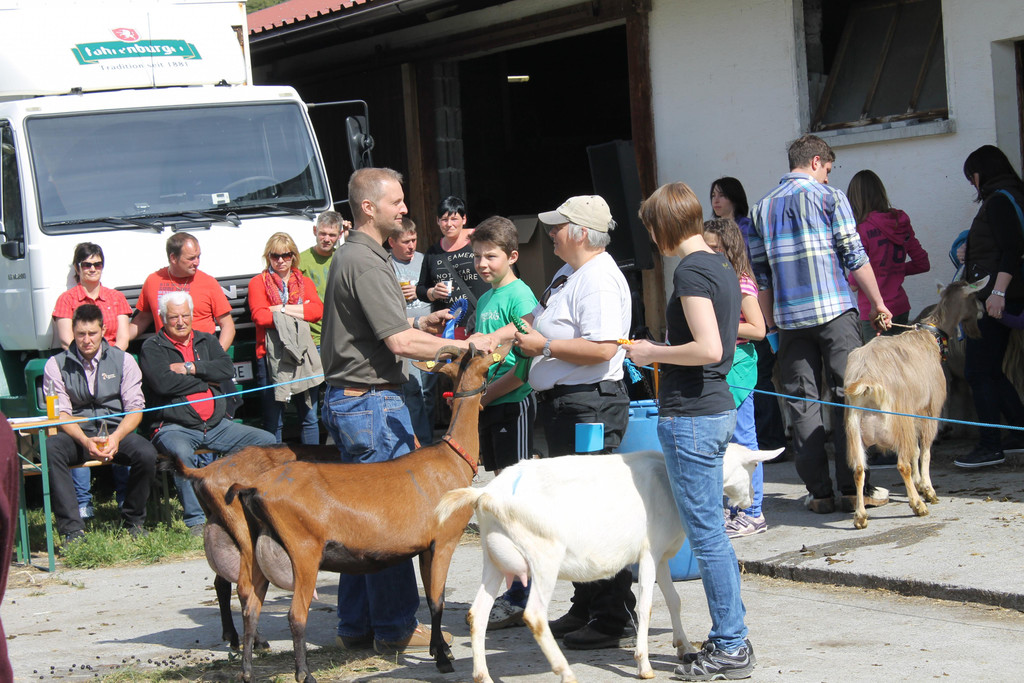 Ziegenausstellung 054.JPG