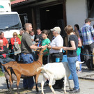 Ziegenausstellung 054.JPG