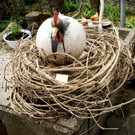 DSC07591.JPG