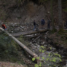 _DSC0291.JPG