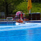 KOE_Schiff Ahoi Felsenau 18.jpg