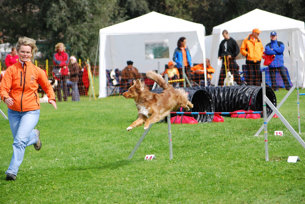 DSC_0177 _Andere_.JPG