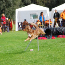 DSC_0177 _Andere_.JPG