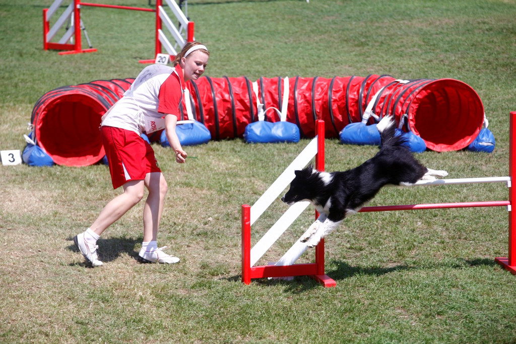 monza _184_ _Andere_.JPG