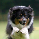 Symbolfoto Wintercup Austria 2 _Andere_ _Andere_.jpg