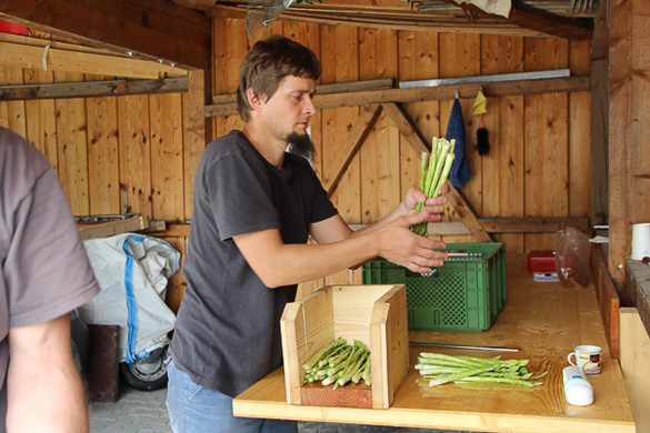 bea_Schneewittchenspargel_Brunnenfeld _14 von 28_.jpg