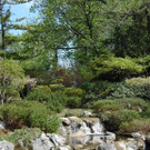 SAM_0736.JPG