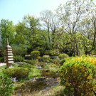 SAM_0739.JPG