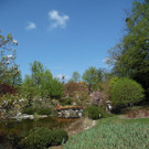 SAM_0740.JPG