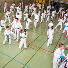 Karate populärer machen