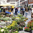 Buntes Marktgeschehen in der Marktgasse