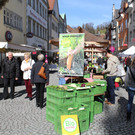 IMG_8156.JPG
