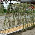 DSC02599_jpg-1274365289