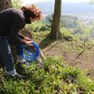 KOE_Tostnerburg Georadar Messung 4.jpg