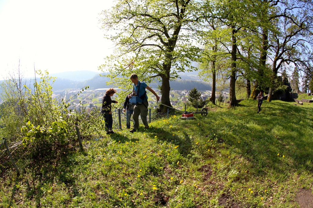 KOE_Tostnerburg Georadar Messung 8.jpg