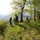 KOE_Tostnerburg Georadar Messung 8.jpg