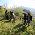KOE_Tostnerburg Georadar Messung 10.jpg