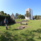KOE_Tostnerburg Georadar Messung 11.jpg