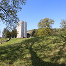 KOE_Tostnerburg Georadar Messung 14.jpg
