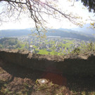 KOE_Tostnerburg Georadar Messung 15.jpg