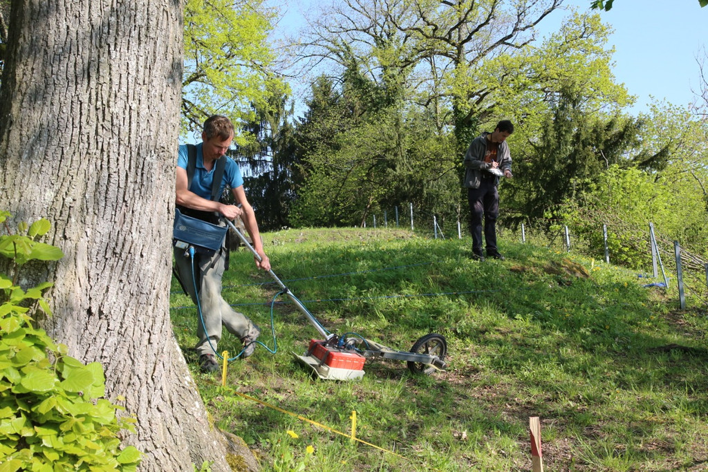 KOE_Tostnerburg Georadar Messung 16.jpg