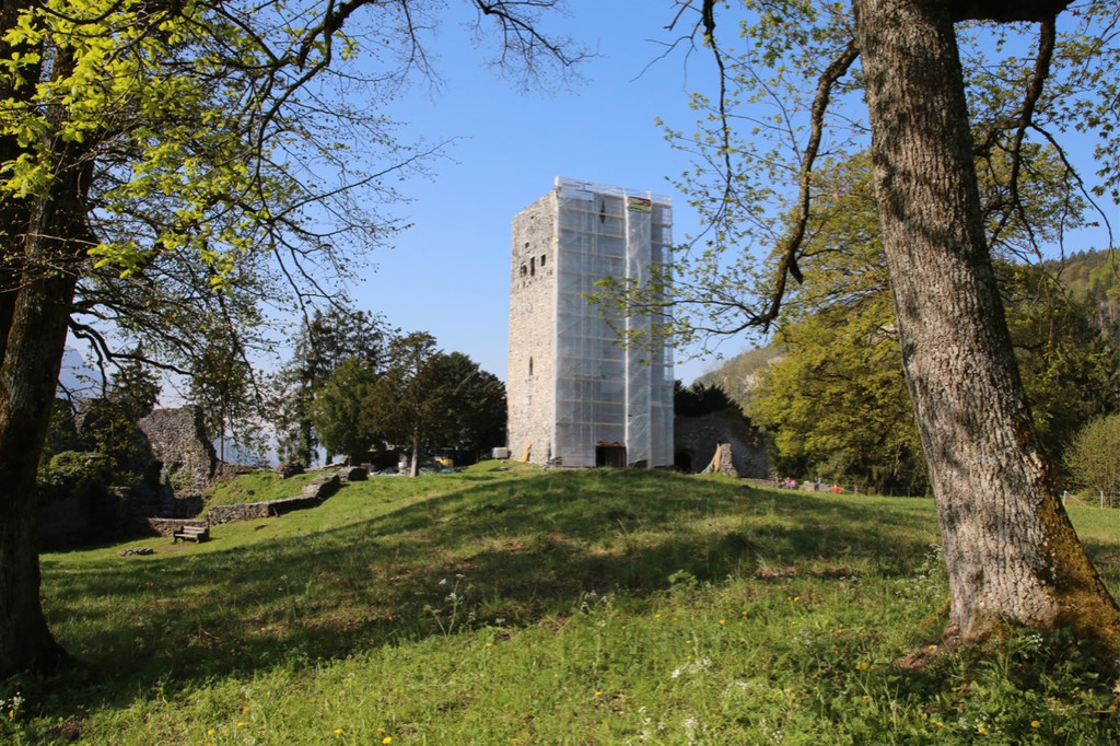 KOE_Tostnerburg Georadar Messung 18.jpg