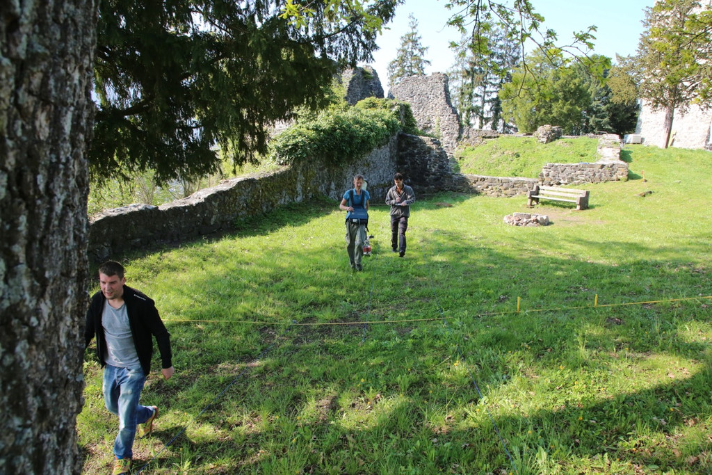 KOE_Tostnerburg Georadar Messung 19.jpg