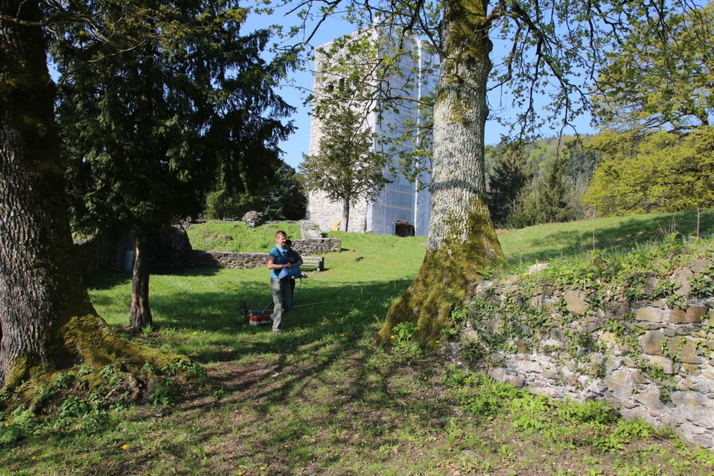 KOE_Tostnerburg Georadar Messung 22.jpg