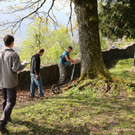 KOE_Tostnerburg Georadar Messung 23.jpg