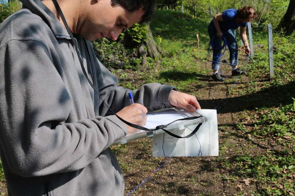 KOE_Tostnerburg Georadar Messung 24.jpg