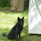 DSC_2195.JPG