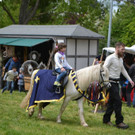 DSC_2215.JPG