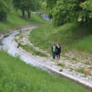 DSC_2229.JPG