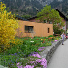 DSCN1633.JPG