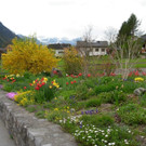 DSCN1635.JPG